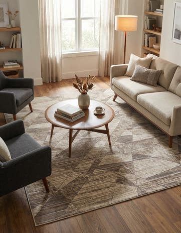 8' x 10' Silta Rug