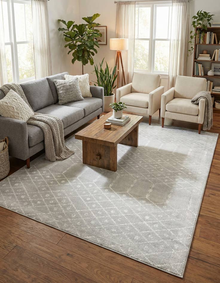 Detail image of 10' x 13' Paxon Trellis Rug