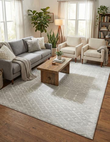 10' x 13' Paxon Trellis Rug