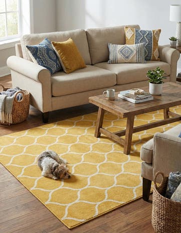 Yellow Trellis Frieze Rug