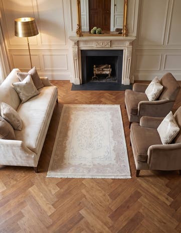 4' x 6' Darya Rug
