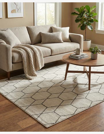 4' x 6' Trellis Frieze Rug