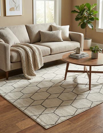 Ivory Trellis Frieze Rug