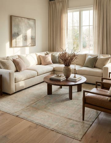 6' x 8' 9 Hand Knotted Darya Wool Rug