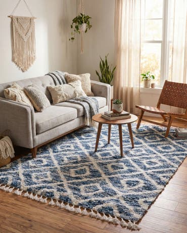  4' x 6' Athena Shag Rug