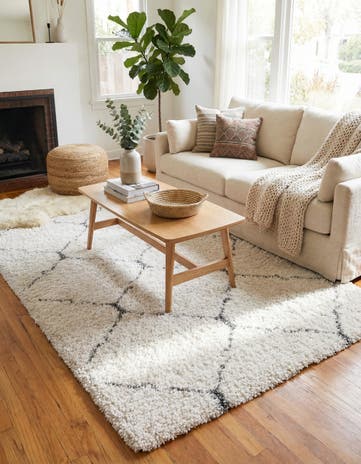 7' x 10' Moroccan Shag Rug