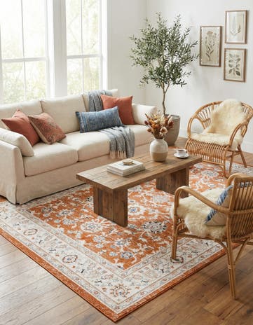 7' x 10' Charlotte Rug