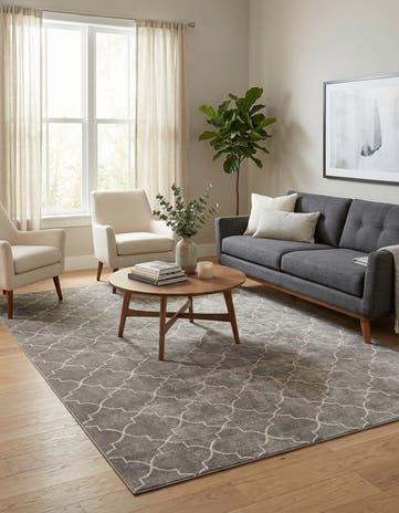 Jill Zarin 5' 3 x 8' Uptown Lincoln Center Rug