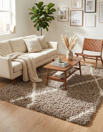 4' x 6' Infinity Shag Rug