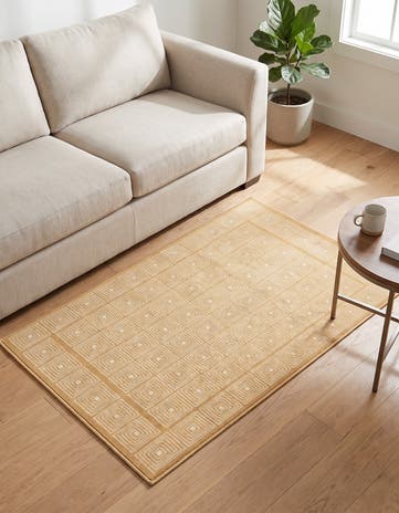 3' 3 x 5' 3 Aakaar Rug