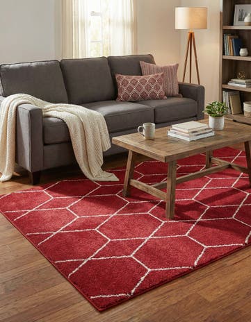 4' x 6' Lattice Frieze Rug