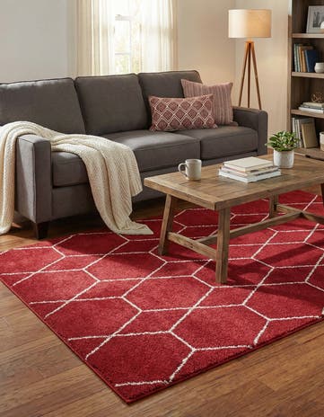 4' x 6' Lattice Frieze Rug