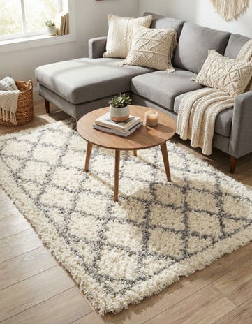 4' x 6' Infinity Shag Rug