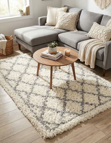 4' x 6' Infinity Shag Rug