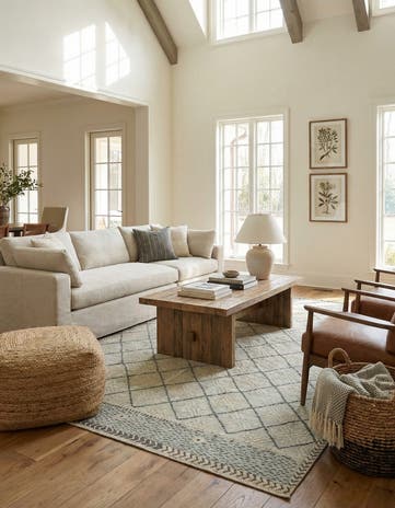 8' 9 x 12' 7 Hand Knotted Darya Wool Rug