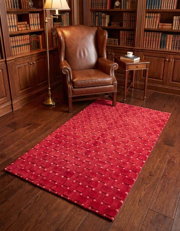 3' 11 x 6' 3 Darya Rug