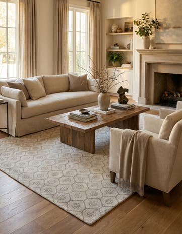 9' 8 x 13' 9 Hand Knotted Darya Wool Rug