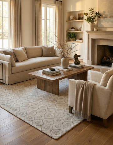 9' 8 x 13' 9 Hand Knotted Darya Wool Rug