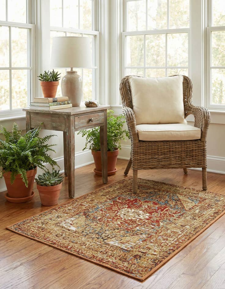 Detail image of 2' x 3'  Washable Traditional Indoor / Outdoor Rug