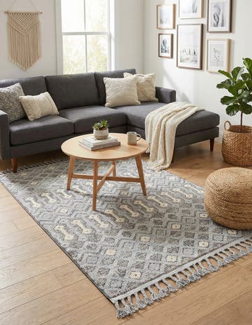 4' x 6' Arlo Rug