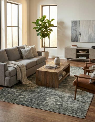 8' 4 x 12' Asha Rug