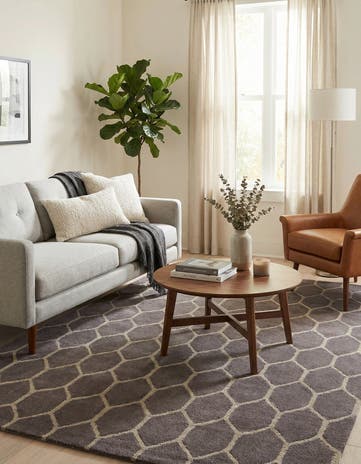5' 1 x 8' Luna Rug