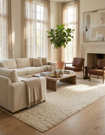 8' 11 x 12' 6 Hand Knotted Darya Wool Rug