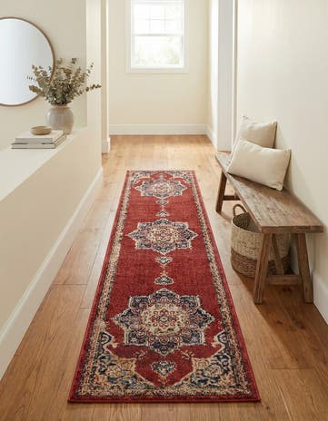 2' 7 x 10' Eden Runner Rug