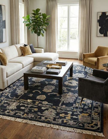 9' 6 x 12' 6 Hand Knotted Darya Wool Rug