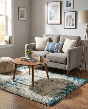  2' x 3' Soft Touch Shag Rug