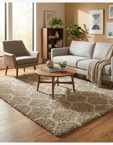 7' 10 x 10' Trellis Shag Rug