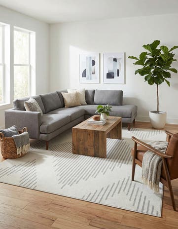 6' x 9' Kai Rug