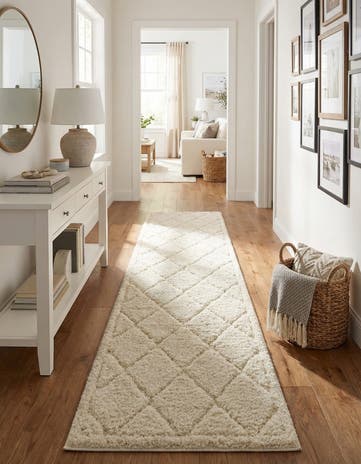 2' 7 x 10' Lattice Shag Runner Rug
