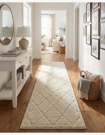 2' 7 x 10' Trellis Shag Runner Rug