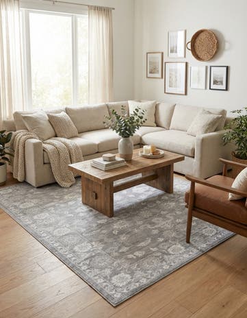 Gray Boston Rug