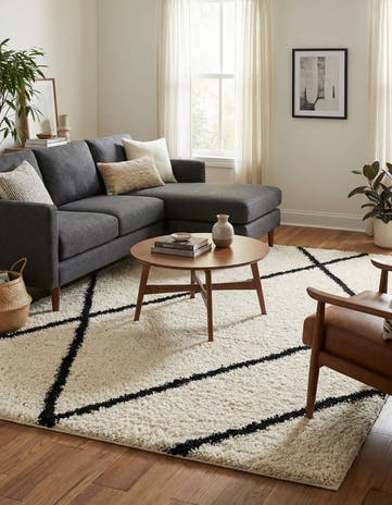 9' x 12' Infinity Shag Rug