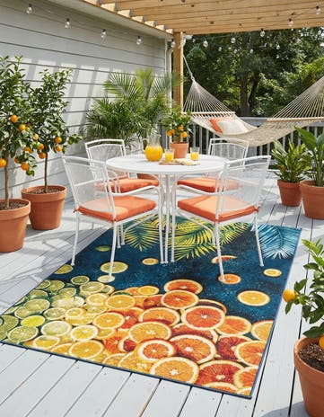 6' x 9' Easy-Clean Coastal Indoor / Outdoor Rug
