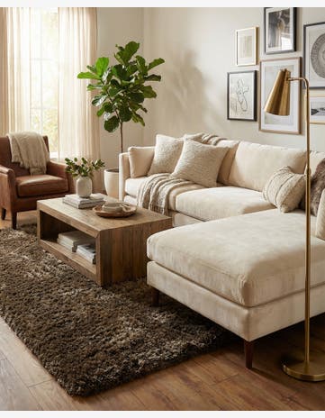 3' 4 x 5' 6 Solid Shag Rug