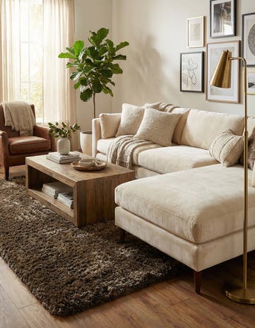3' 4 x 5' 6 Solid Shag Rug