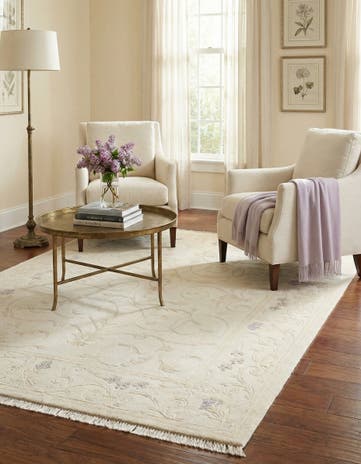 4' 11 x 6' 7 Hand Knotted Darya Rug