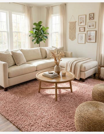 10' x 14' Everyday Shag Rug