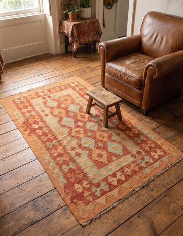 3' x 4' 10 Hand Woven Kilim Waziri Wool Rug