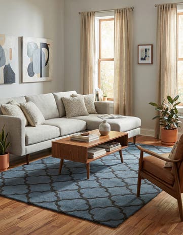 5' 1 x 8' Luna Rug