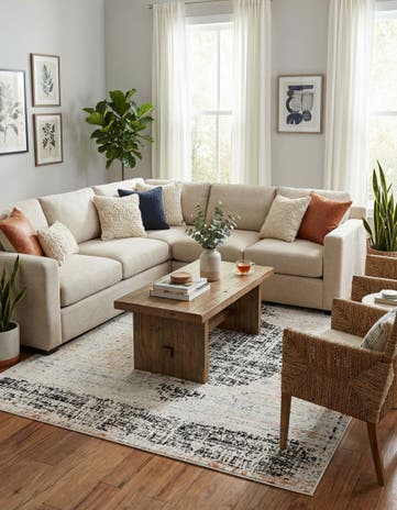 7' 10 x 10' Aramis Rug