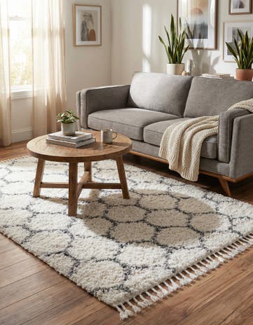 4' x 6' Athena Shag Rug