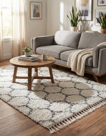 4' x 6' Athena Shag Rug