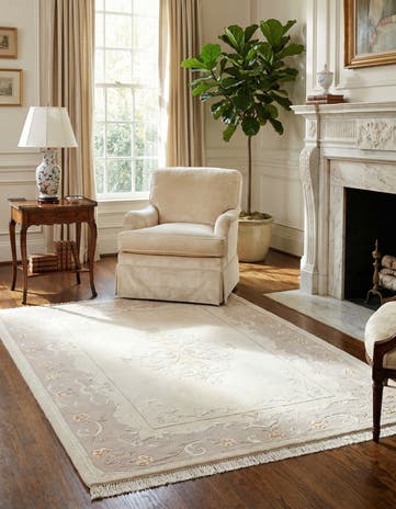 4' x 6' Darya Rug