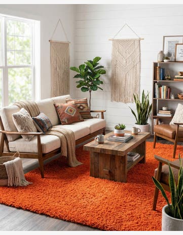 7' x 10' Solid Shag Rug