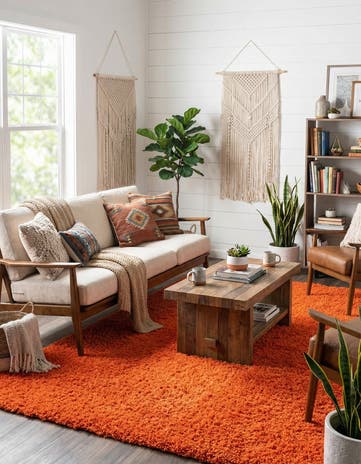7' x 10' Solid Shag Rug
