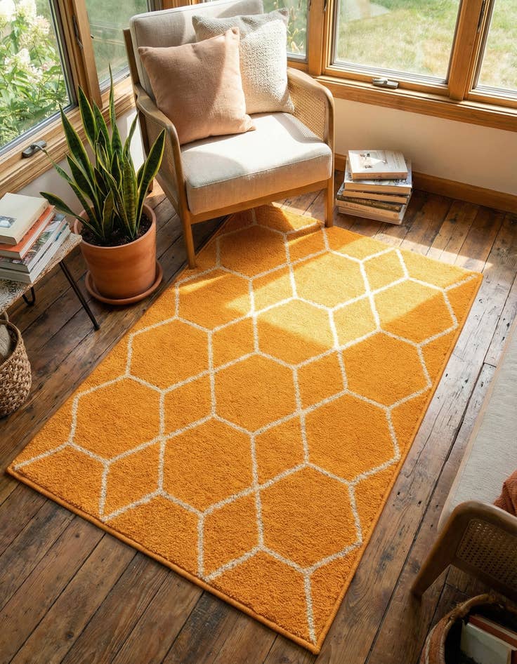 Detail image of  2' x 3' Lattice Frieze Rug